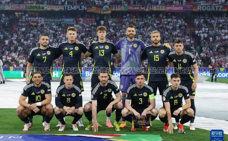 熊猫体育app下载百度搜索资源平台