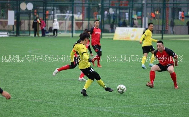 熊猫体育app官网知乎