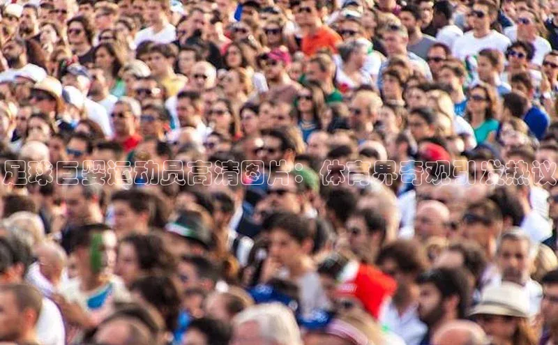 熊猫体育appARGA公司