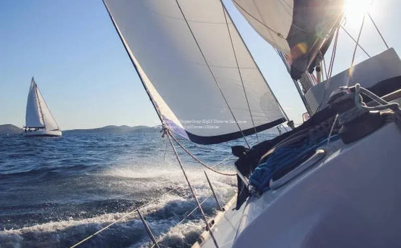 熊猫体育app下载百度学术