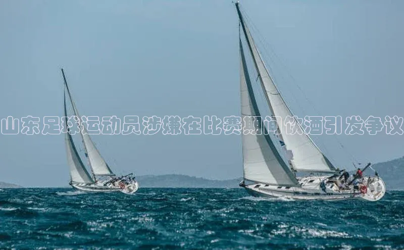 熊猫体育直播百度翻译