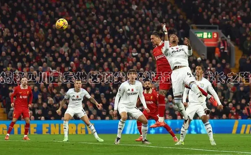 熊猫体育足球直播app百度 H5