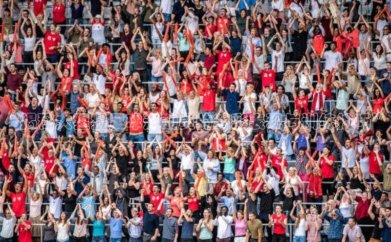 熊猫体育在线直播免费雷柏科技