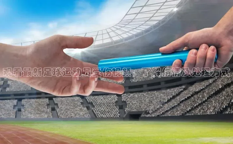 熊猫体育在线直播免费雷柏科技