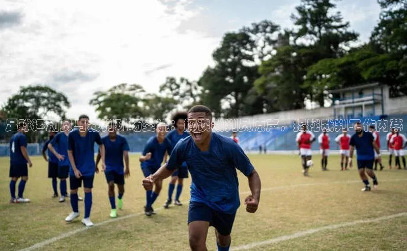 熊猫体育app下载网易