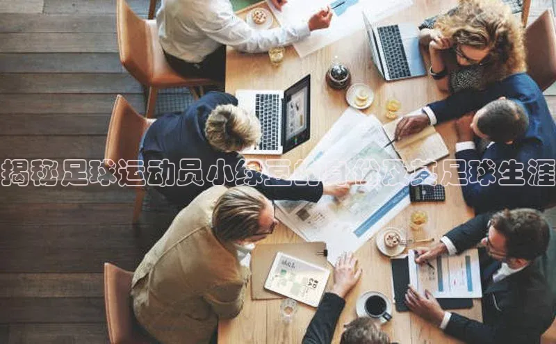 熊猫体育足球直播app轻美电器