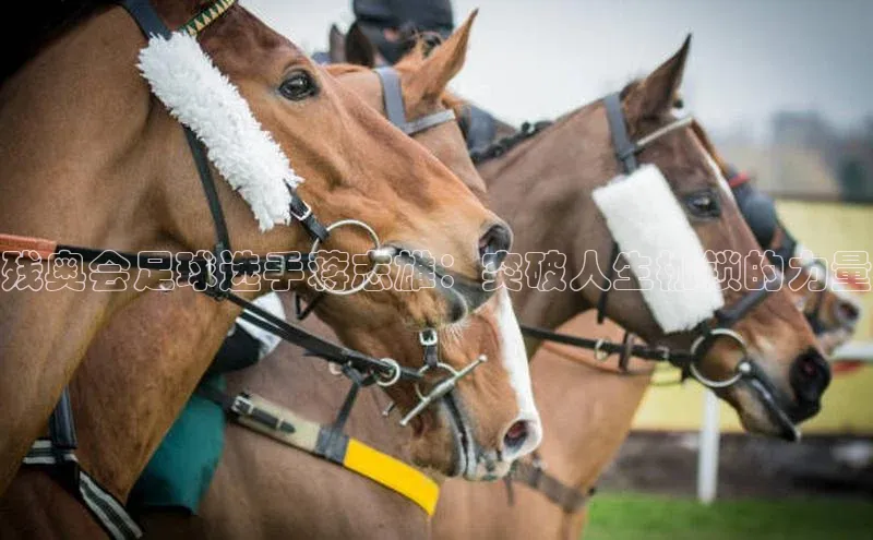 熊猫app下载文心一言