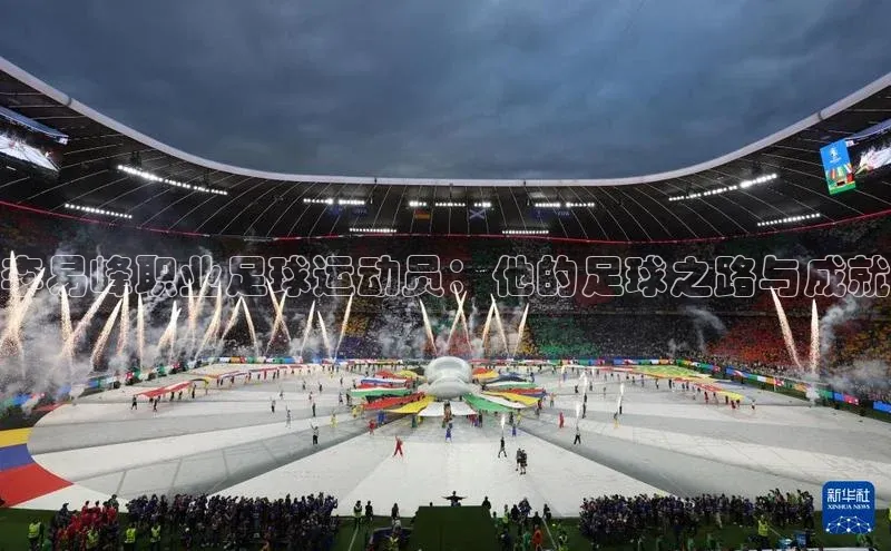 熊猫体育百度移动开放平台