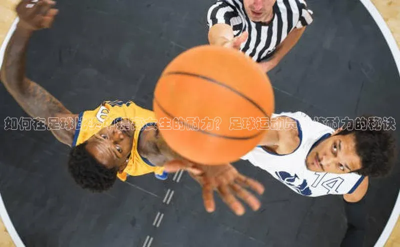 熊猫体育手机版下载极氪智能科技