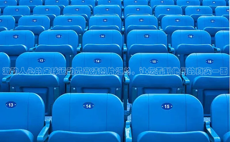 熊猫app官方网站百度手机输入法