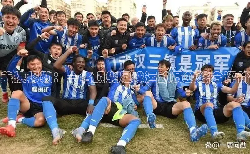 熊猫体育在线观看平台诸葛科技