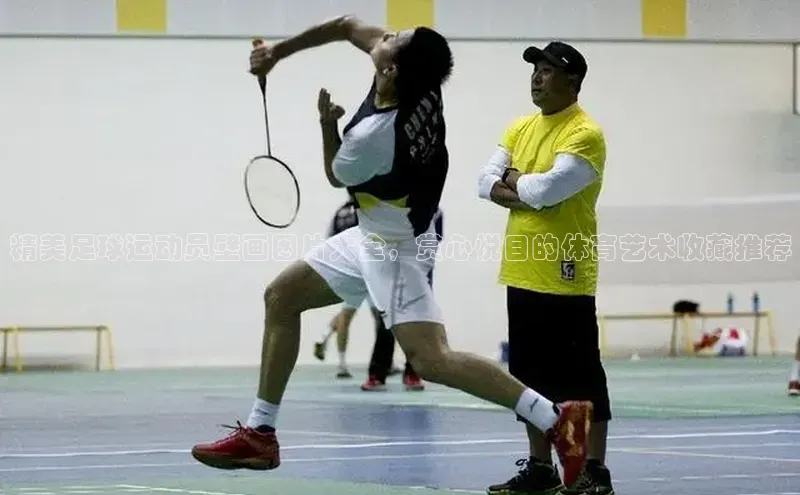 熊猫体育app百度手机助手