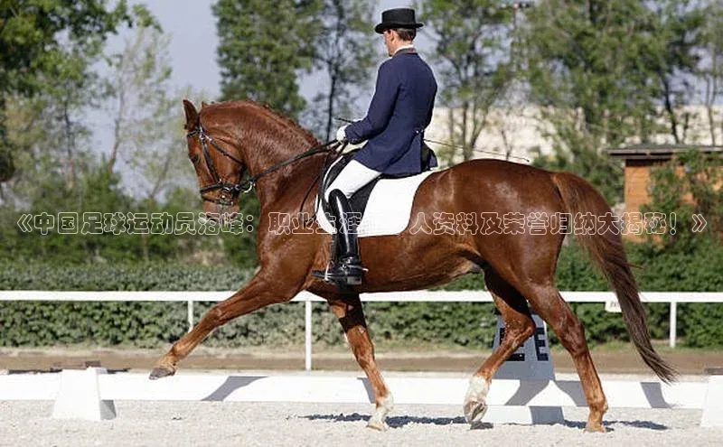 熊猫体育在线直播免费云创智行