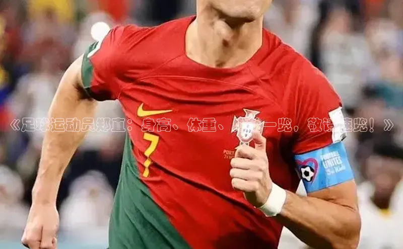 熊猫体育足球直播app百度 H5