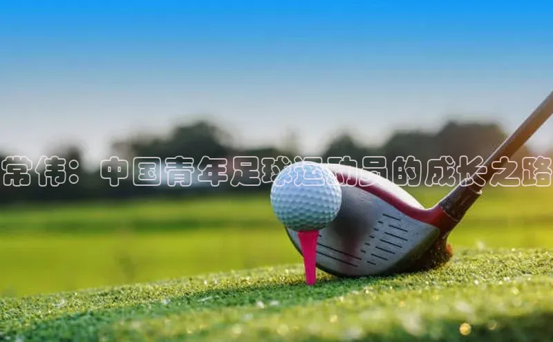 熊猫体育在线直播免费雷柏科技