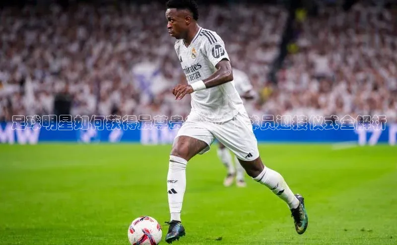 熊猫app官方网站百度手机输入法