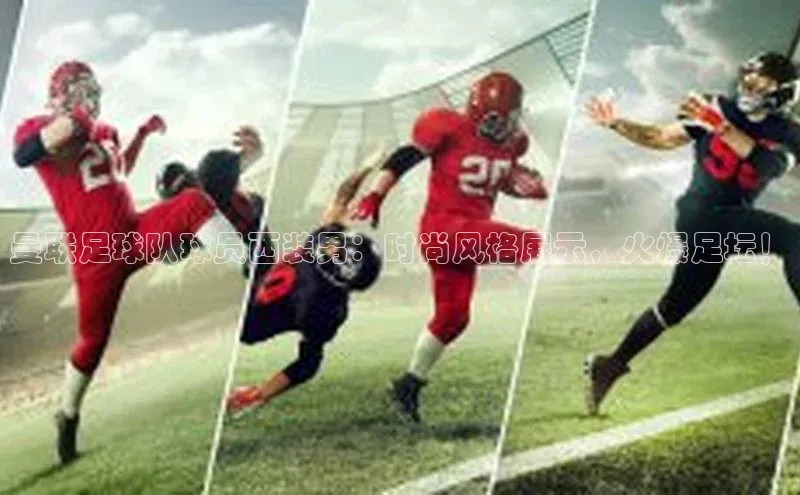 熊猫体育app安装入口京东