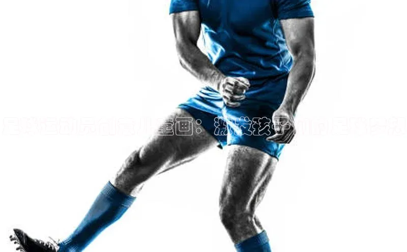 熊猫体育appARGA公司