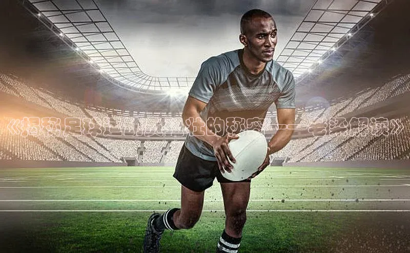 熊猫体育在线直播免费雷柏科技