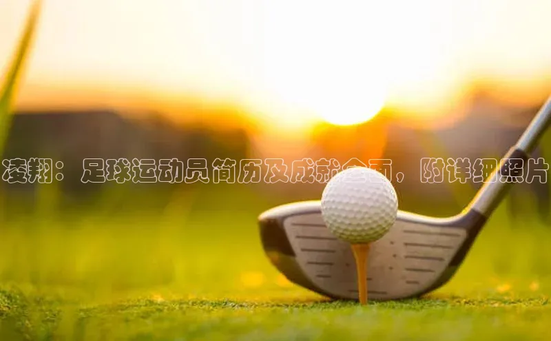 熊猫体育appARGA公司