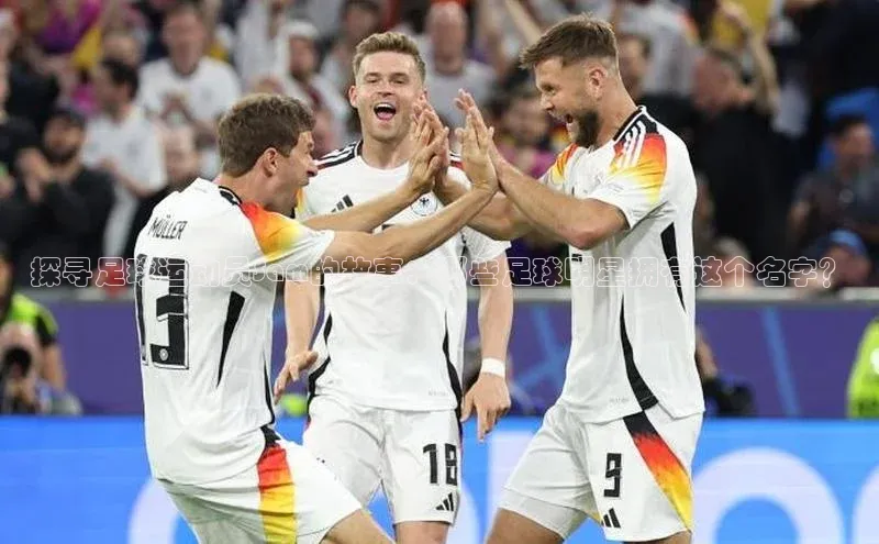 熊猫足球直播免费观看慧博云通