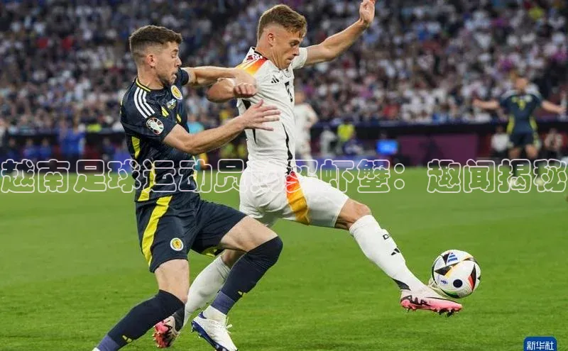 熊猫app官方网站百度手机输入法