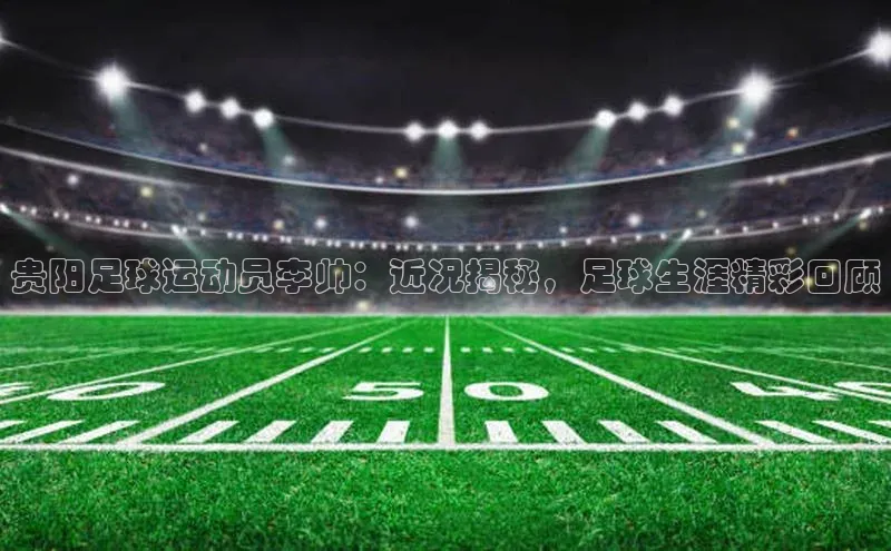 熊猫体育app安装入口京东