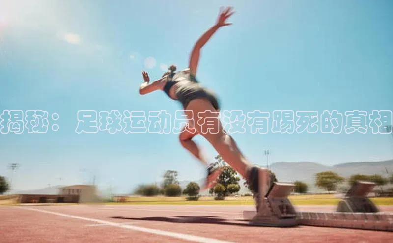 熊猫体育国足直播每日互动