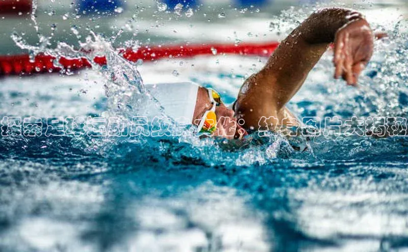 熊猫体育直播免费足球华扬联众