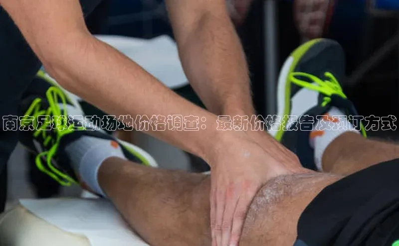 熊猫体育手机版下载极氪智能科技