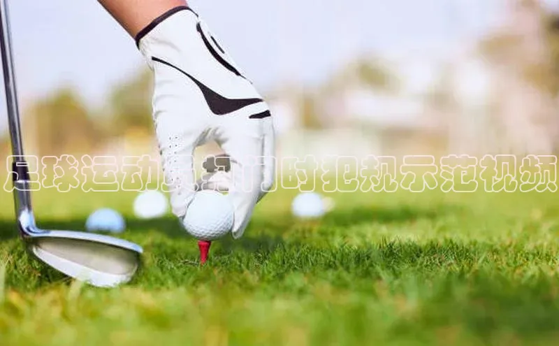 熊猫体育在线直播免费云创智行