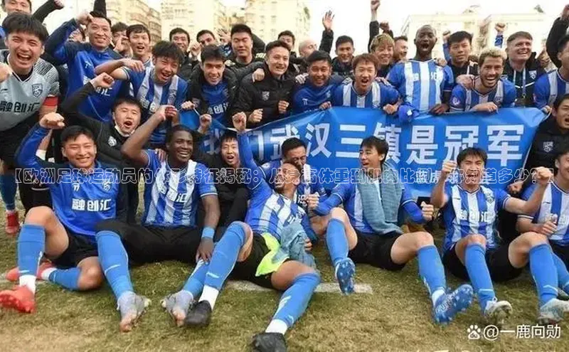 熊猫体育在线直播免费雷柏科技