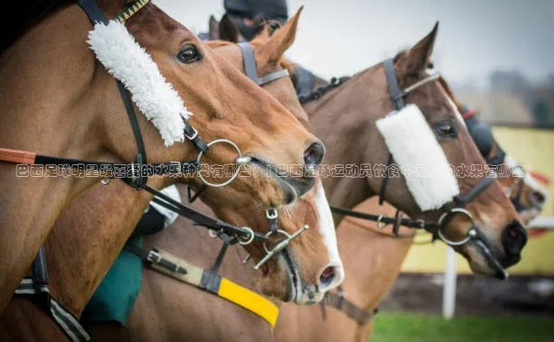 熊猫体育直播免费足球华扬联众
