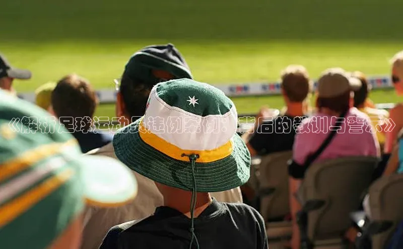 熊猫体育app下载网易