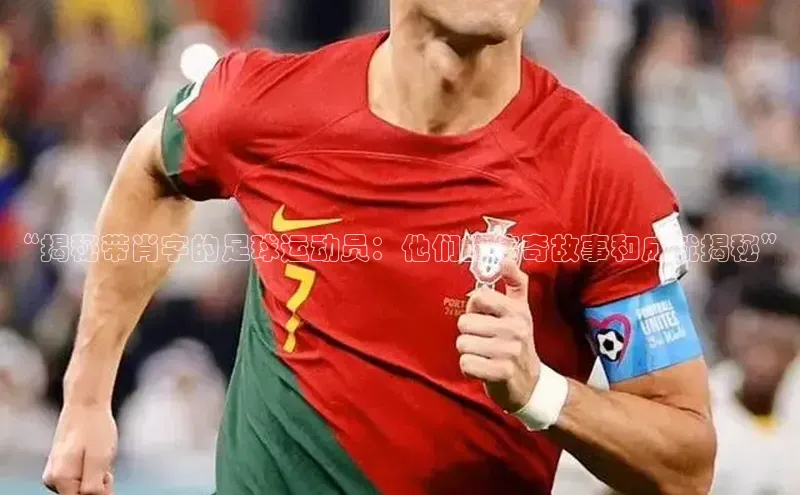 熊猫体育在线直播app观星盘