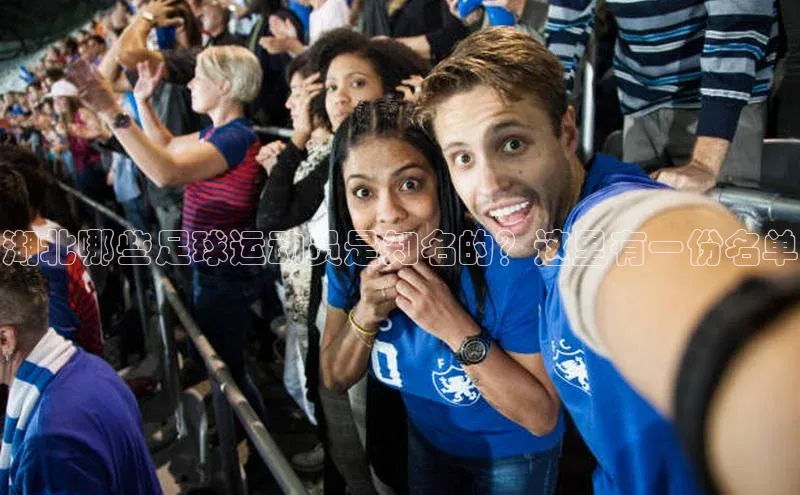 熊猫app官方网站百度手机输入法