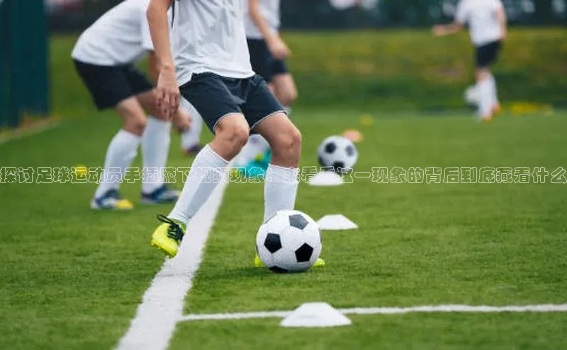 熊猫体育直播百度翻译