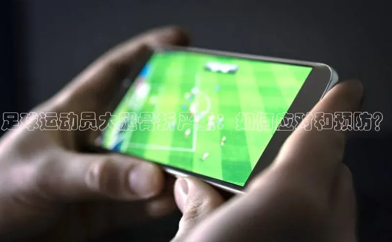 熊猫体育app官网路畅科技