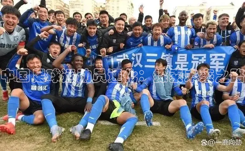 熊猫体育app官网知乎