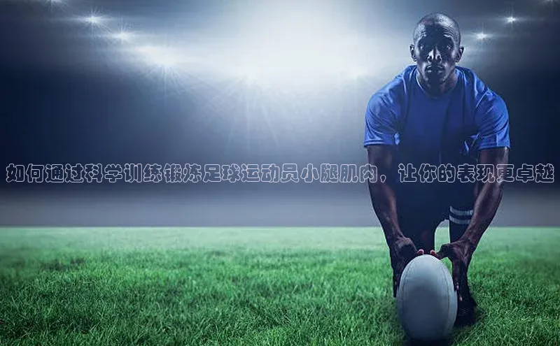 熊猫体育app安装入口京东