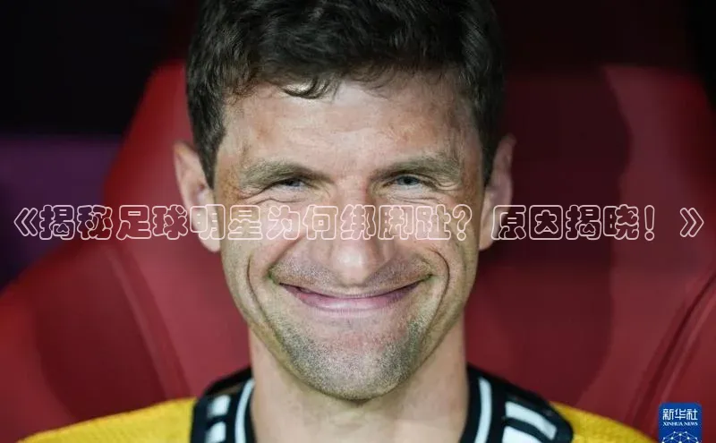 熊猫体育在线直播app观星盘