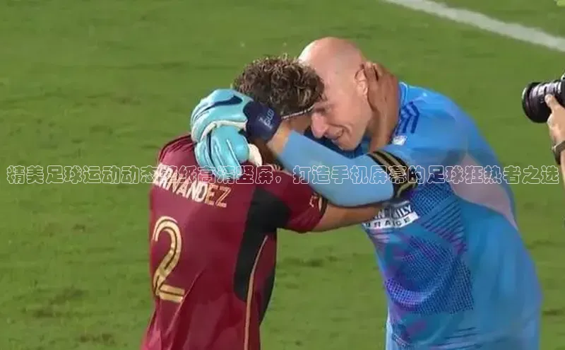 熊猫体育足球直播app阿里尔公司