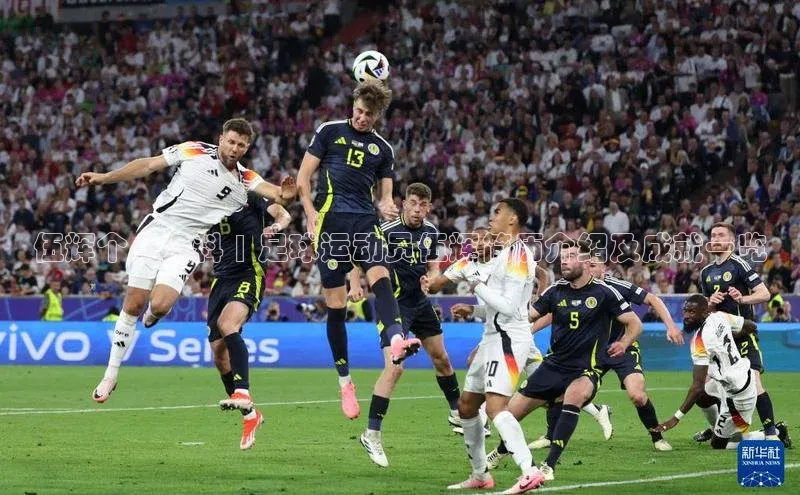 熊猫体育直播百度翻译