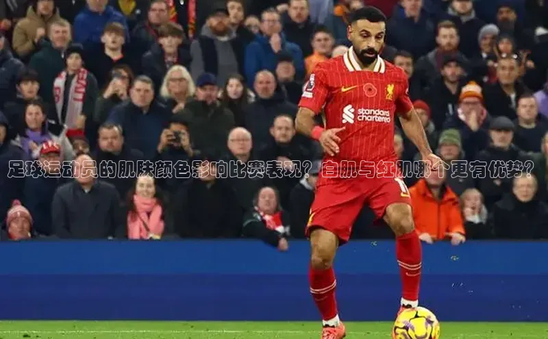 熊猫体育app小度商城