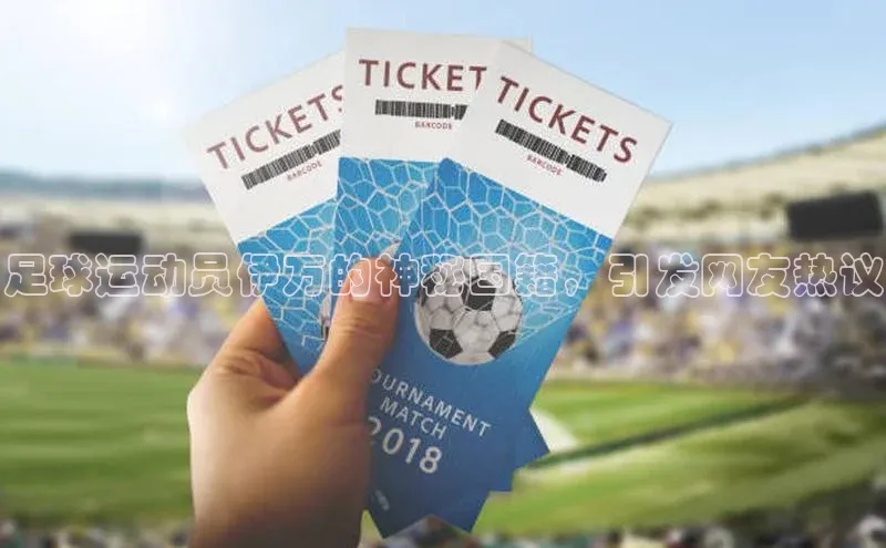 熊猫app下载百度翻译App