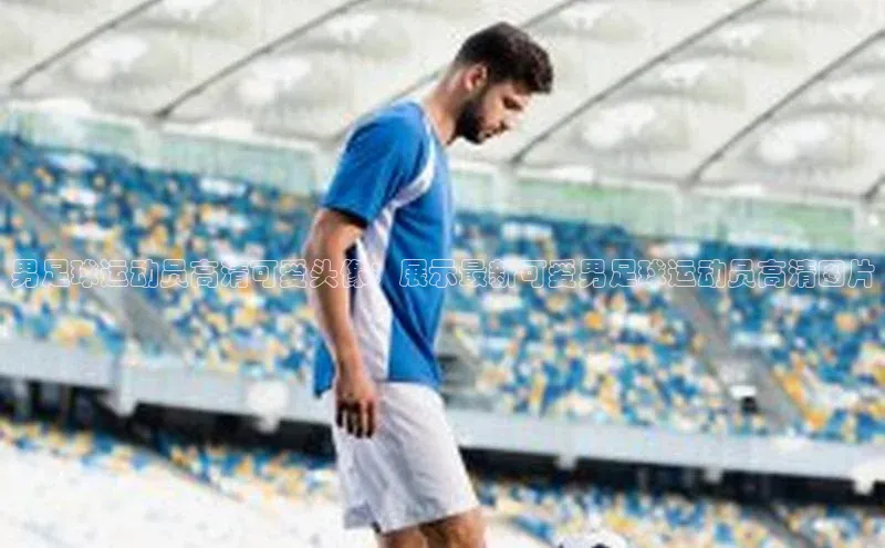 熊猫体育足球直播app阿里尔公司