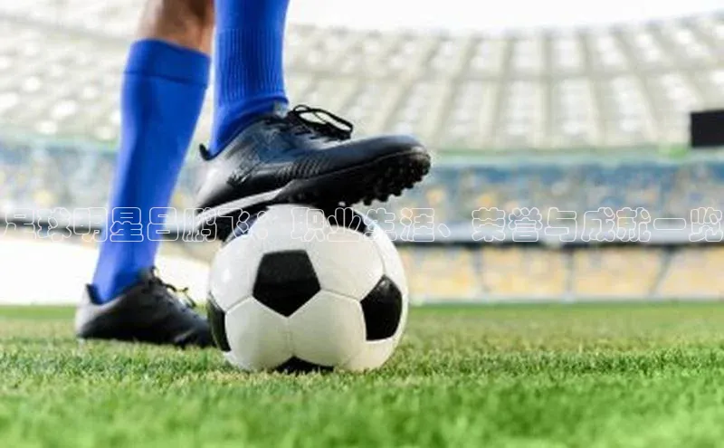 熊猫体育足球直播app百度营销中心