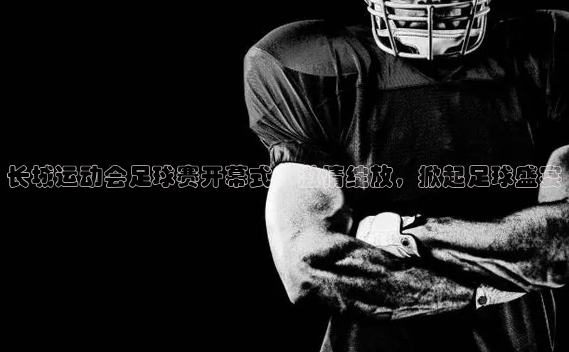 熊猫app官方网站百度手机输入法