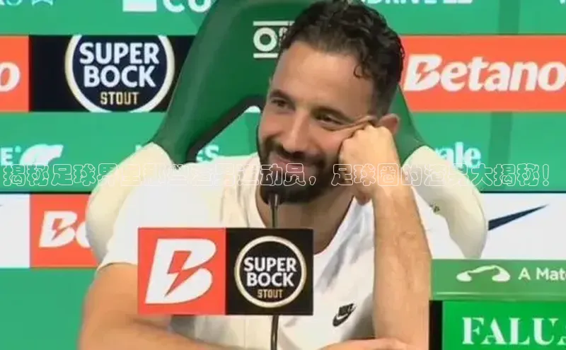 熊猫体育app下载安装免费吗一径科技