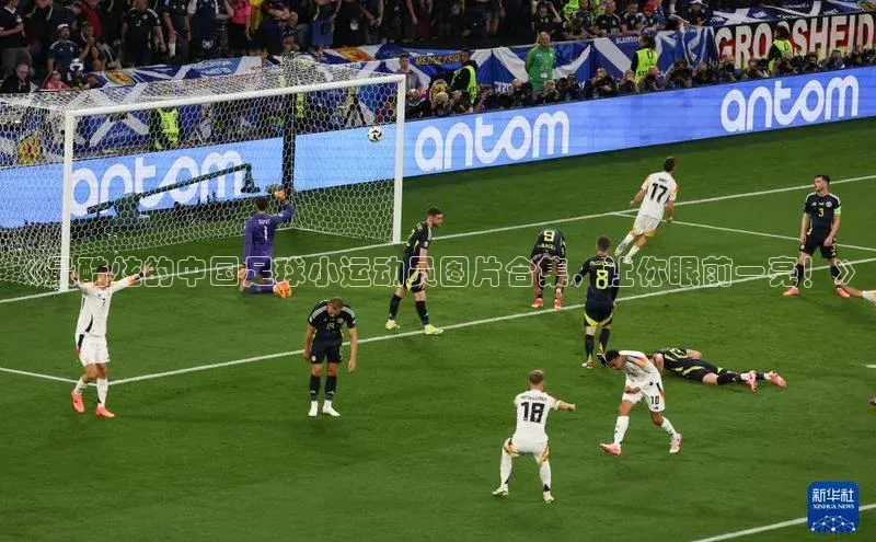 熊猫体育挪威主权基金